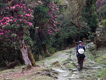 Bhutan Tour With Day Hiking